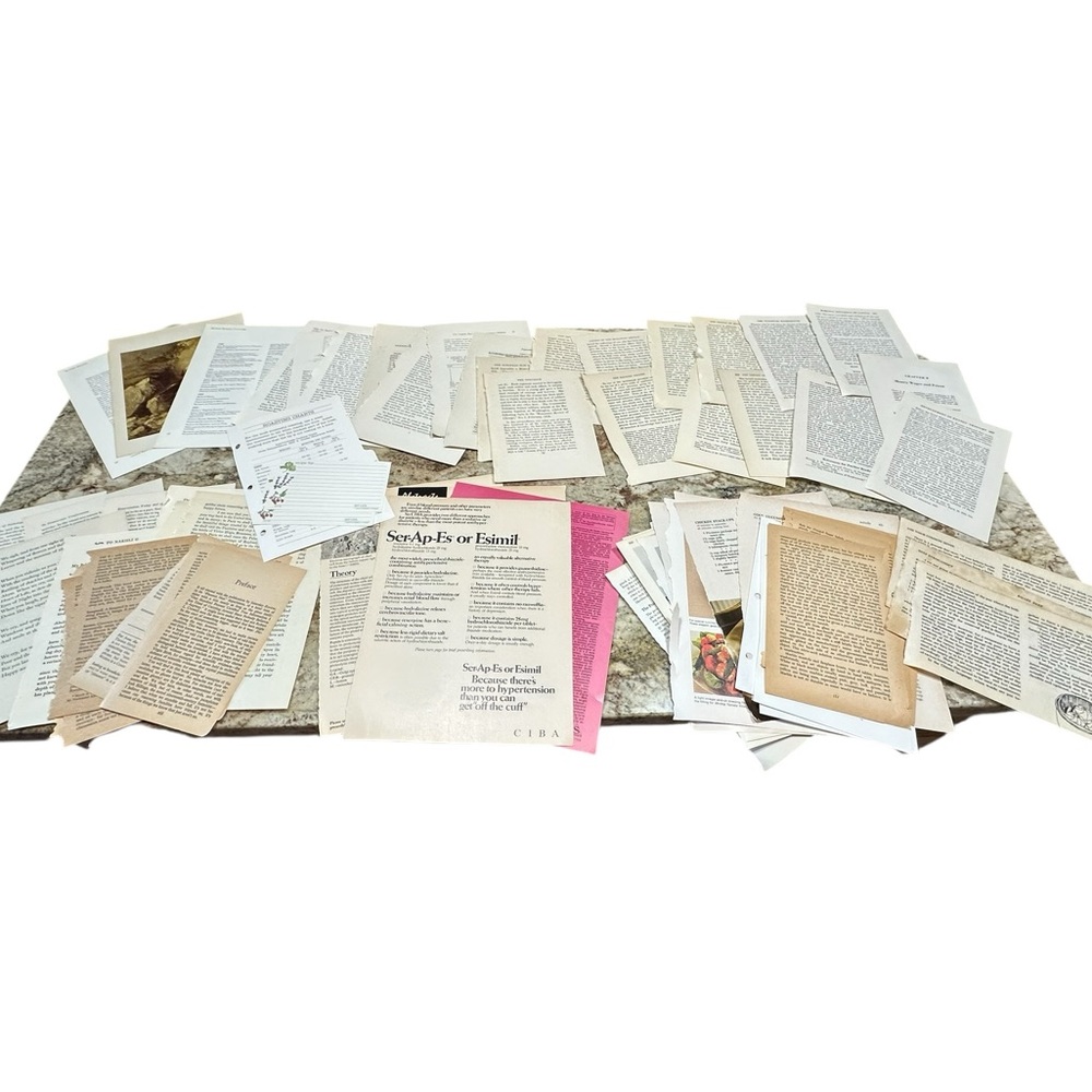 Authentic Vintage Paper Ephemera Book Page Lot